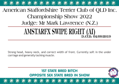 9.A. AMSTARFX SWIPE RIGHT (AI).png
